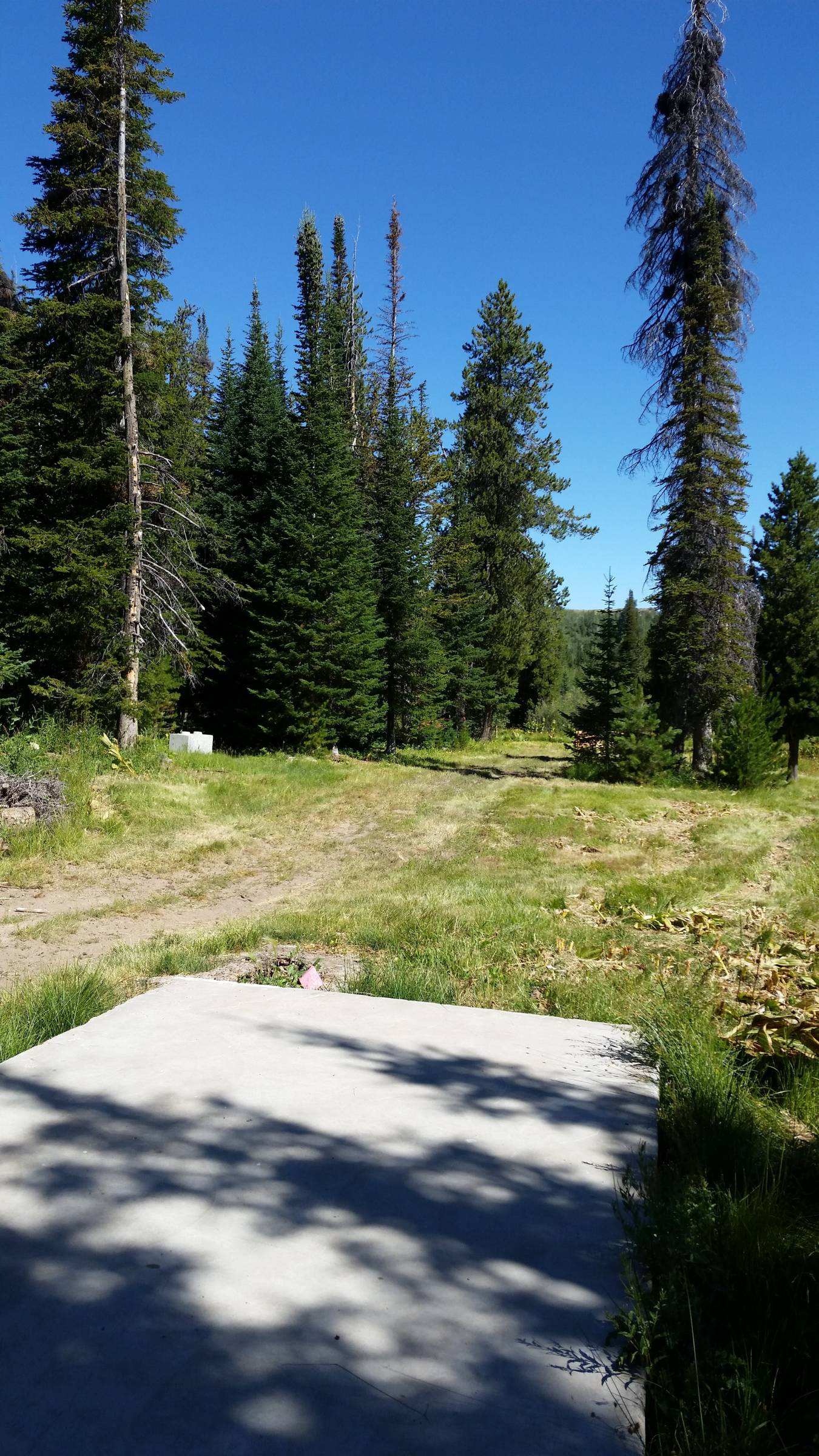 Hole 10 • Magic Mountain Ski Resort (Hansen, ID) Disc Golf Courses