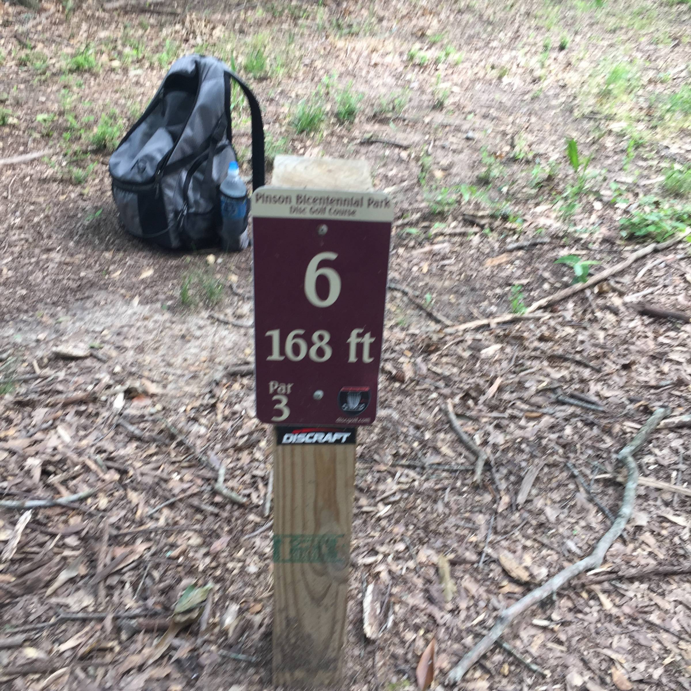 Hole 6 • Pinson Bicentennial Park (Pinson, AL) Disc Golf Courses