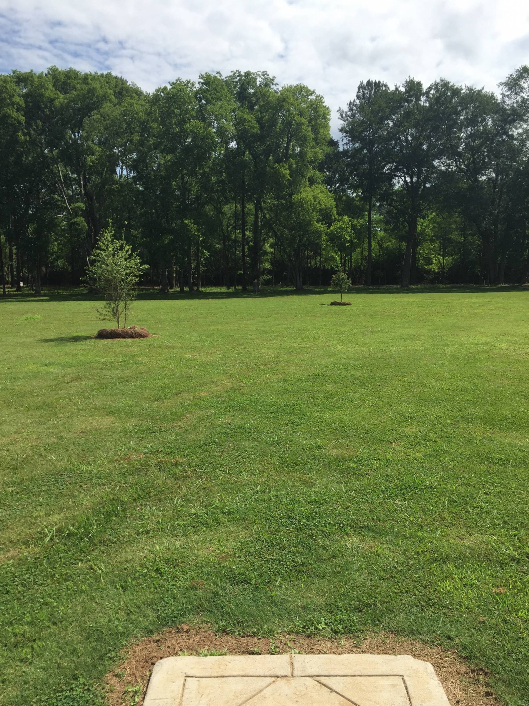 Hole 11 • Pinson Bicentennial Park (Pinson, AL) Disc Golf Courses