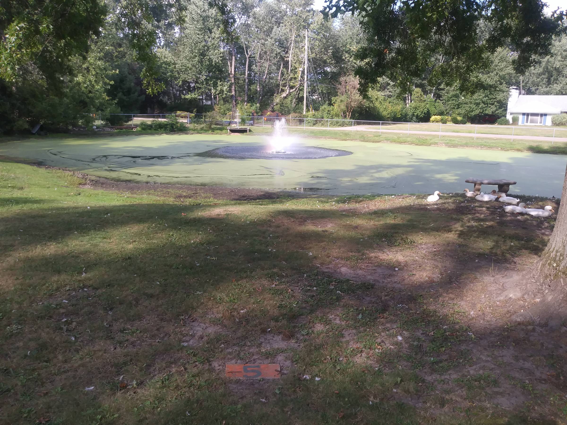 Hole 5 • Putters Only (Canton, OH) Disc Golf Courses Disc Golf Scene