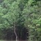 Picture of Hole_1