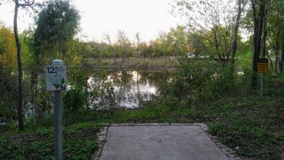 Northtown MUD DGC, Main course, Hole 12 Long tee pad