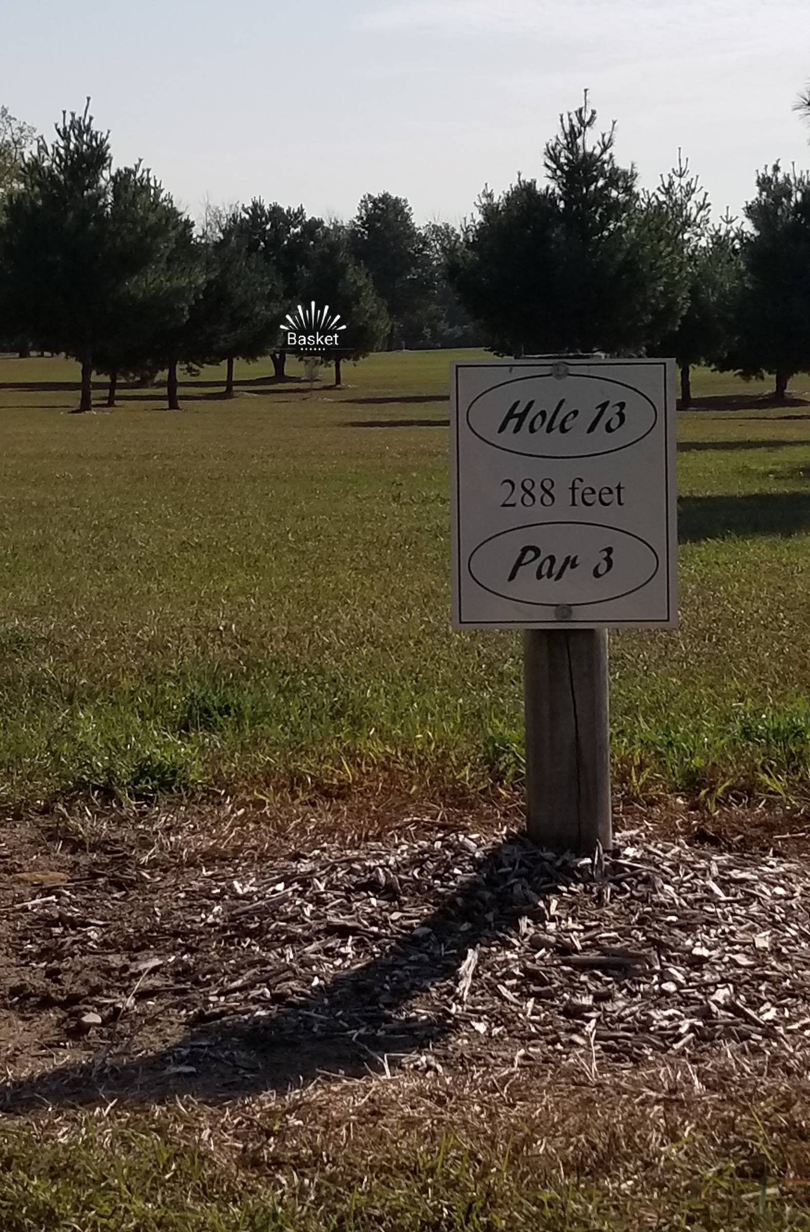 Hole 13 • Camper's Haven Family Campground (Bad Axe, MI) Disc Golf