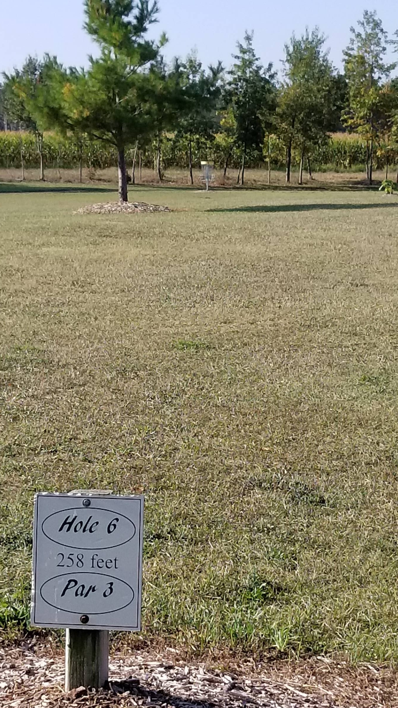 Hole 6 • Camper's Haven Family Campground (Bad Axe, MI) Disc Golf