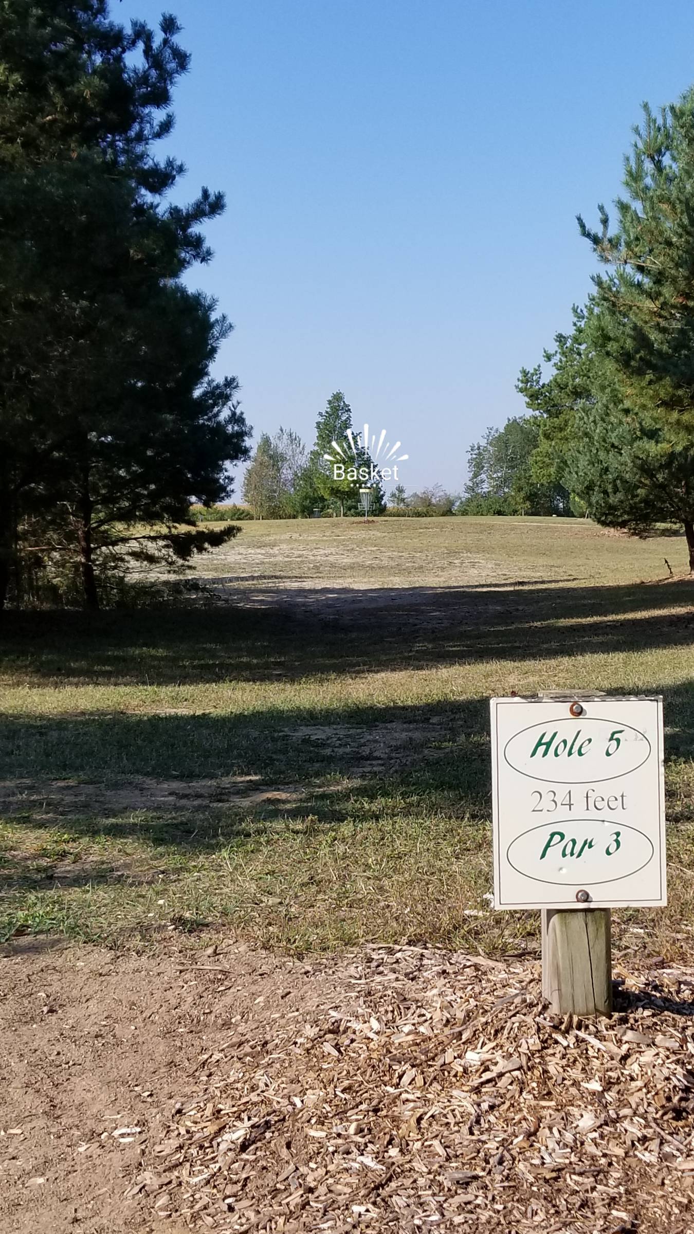 Hole 5 • Camper's Haven Family Campground (Bad Axe, MI) Disc Golf