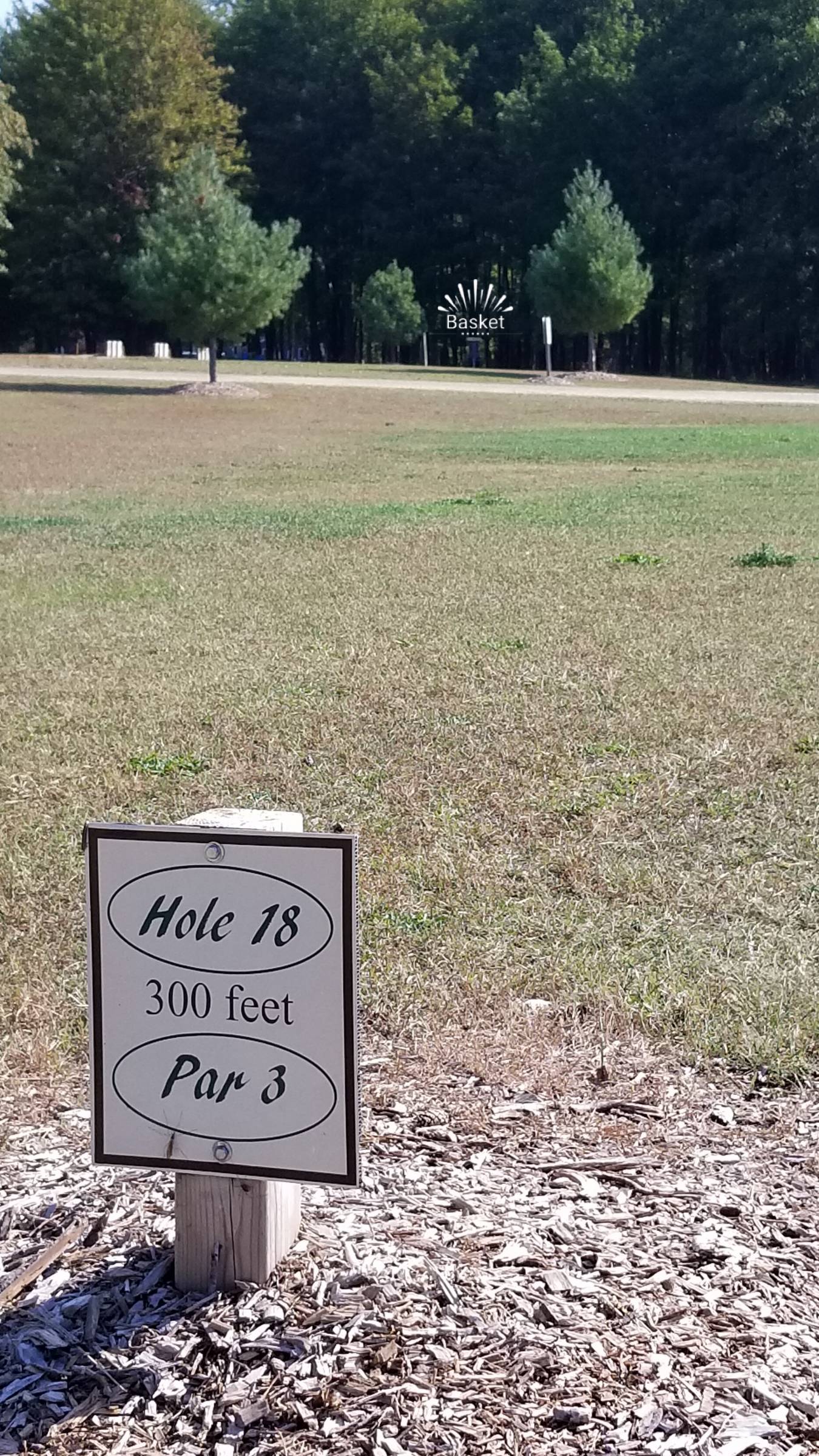 Hole 18 • Camper's Haven Family Campground (Bad Axe, MI) Disc Golf