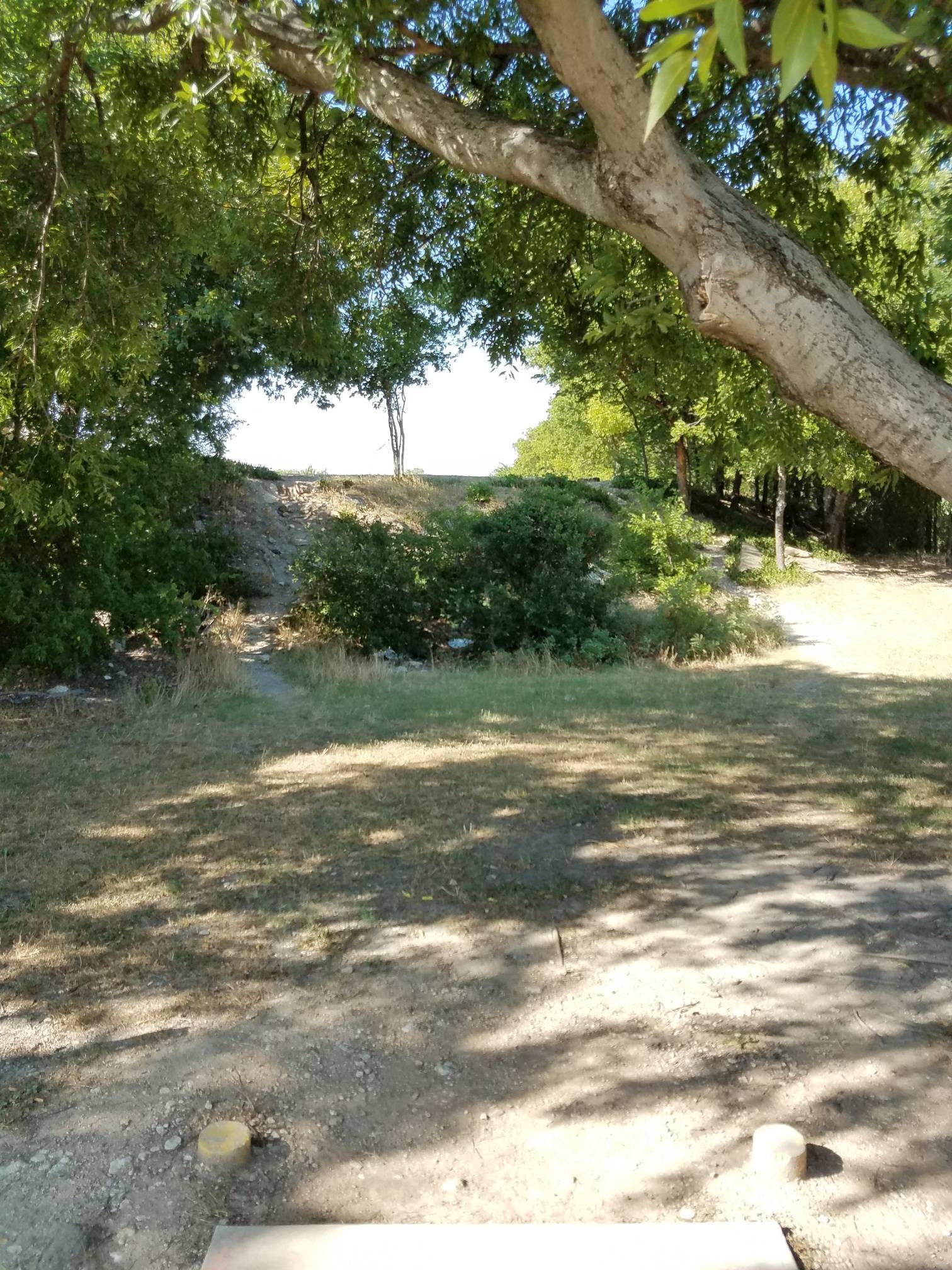 Hole 14 • New course / Saddle Hills (White Settlement TX) Disc Golf