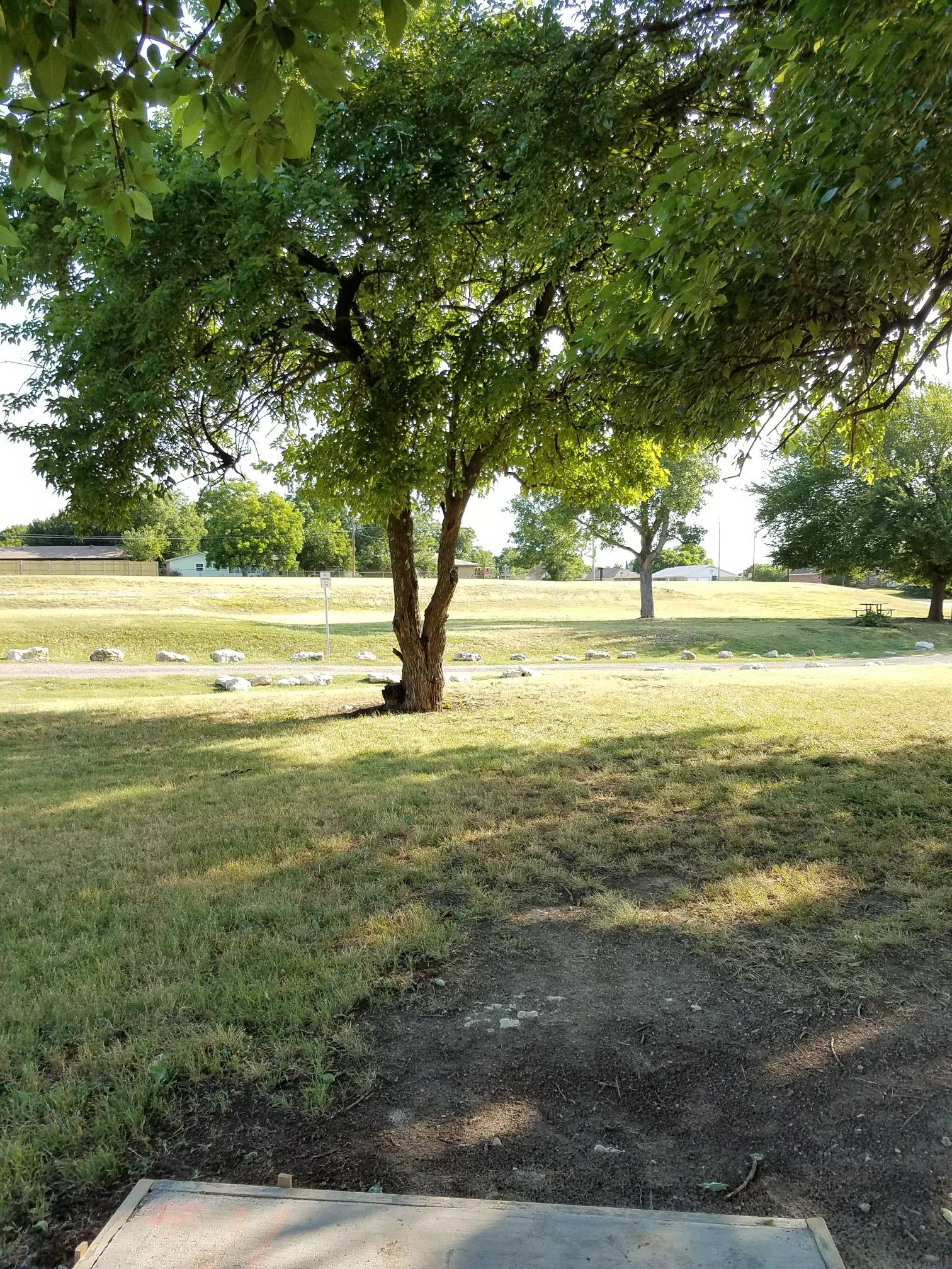 Hole 11 • New course / Saddle Hills (White Settlement TX) Disc Golf