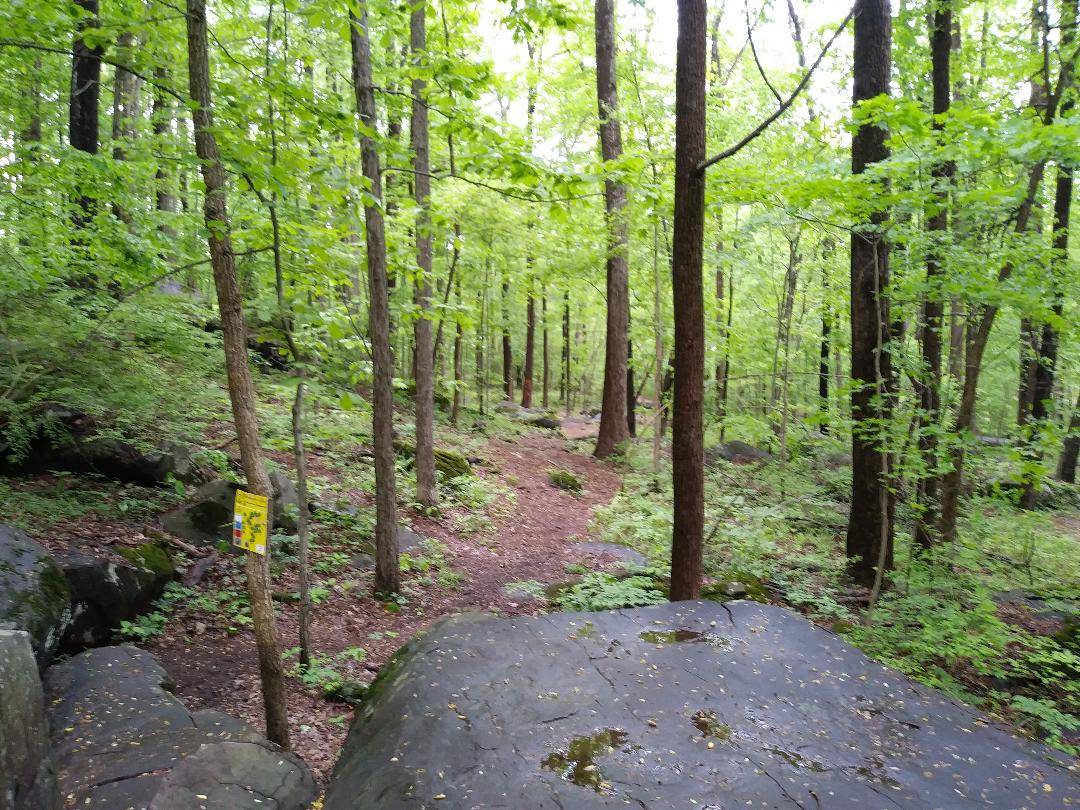 Hole 11 • Boulderwoods Campground (Green Lane, PA) Disc Golf Courses