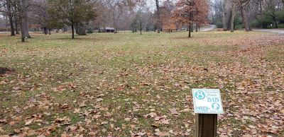 Snyder Park DGC, Main course, Hole 8 Tee pad