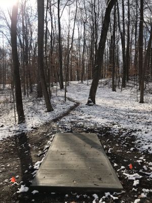 Clark's Run Disc Golf Course, Main course, Hole 5 Tee pad