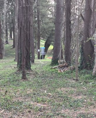 Valley Park DGC, Main course, Hole 4 Midrange approach