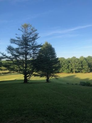 Daniel Vineyards, Twin Oaks DGC, Hole 7 Long tee pad