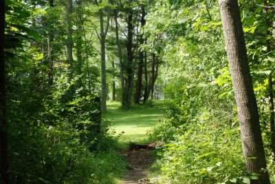 Churchville Park, Main course, Hole 13 Tee pad