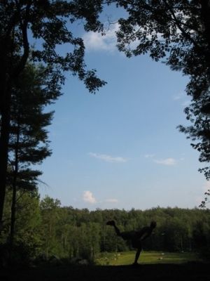 Hyzer Creek, Main course, Hole 12 Tee pad