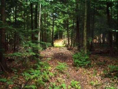 Hyzer Creek, Main course, Hole 13 Tee pad