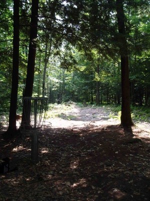 Hyzer Creek, Main course, Hole 6 Reverse (back up the fairway)