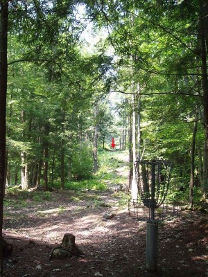 Hyzer Creek, Main course, Hole 1 Reverse (back up the fairway)