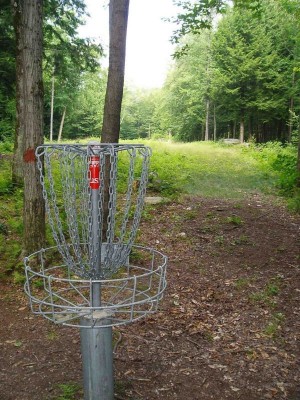 Hyzer Creek, Main course, Hole 15 Reverse (back up the fairway)