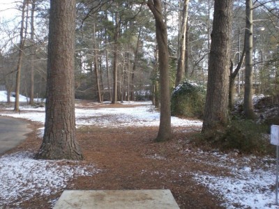 Wills Park, Main course, Hole 8 Tee pad