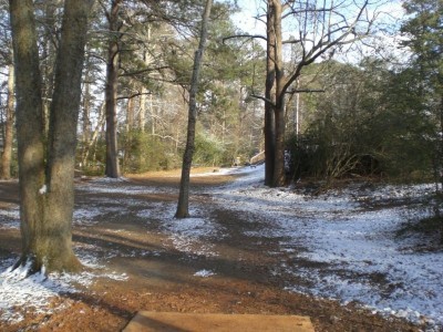 Wills Park, Main course, Hole 7 Tee pad