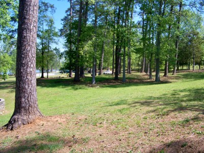 Lake Olmstead Park, Main course, Hole 3 Midrange approach