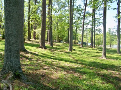 Lake Olmstead Park, Main course, Hole 14 Midrange approach