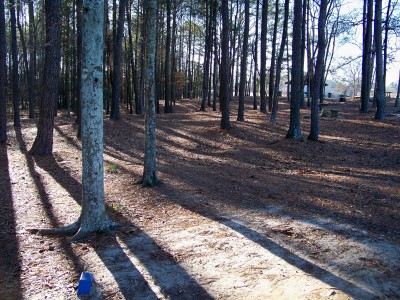 Herman C. Michael Park, Main course, Hole 14 Tee pad