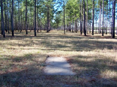 GA Veterans State Park, Main course, Hole 9 Tee pad