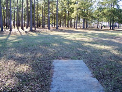 GA Veterans State Park, Main course, Hole 18 Tee pad