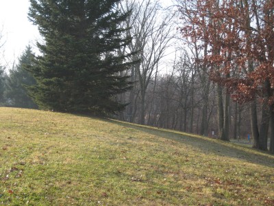 Heritage Park, Heritage Park DGC, Hole 4 Short approach