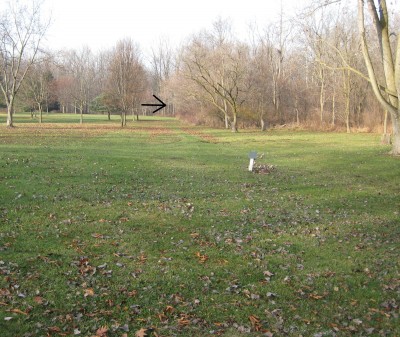 Heritage Park, Heritage Park DGC, Hole 7 Long tee pad