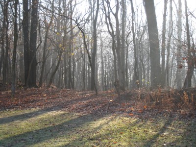 Heritage Park, Heritage Park DGC, Hole 2 Short approach