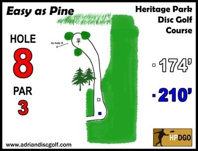 Heritage Park, Heritage Park DGC, Hole 8 Long tee pad