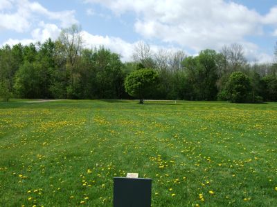 Heritage Park, Heritage Park DGC, Hole 17 Middle tee pad