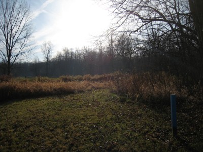 Heritage Park, Heritage Park DGC, Hole 11 Long tee pad