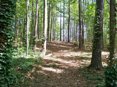 Deer Lick Park, Main course, Hole 15 Midrange approach