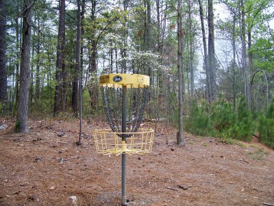 Deer Lick Park, Main course, Hole 13 Putt