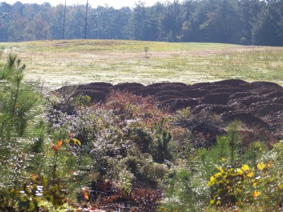 Deer Lick Park, Main course, Hole 16 Tee pad