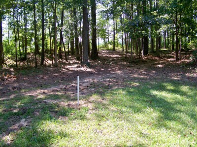 Deer Lick Park, Main course, Hole 7 Midrange approach