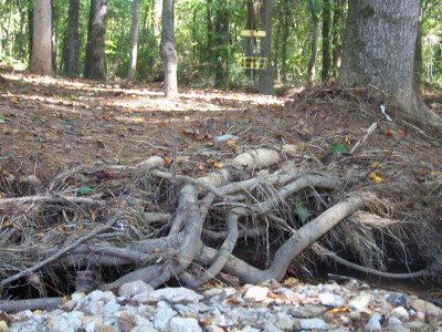 Deer Lick Park, Main course, Hole 4 Short approach