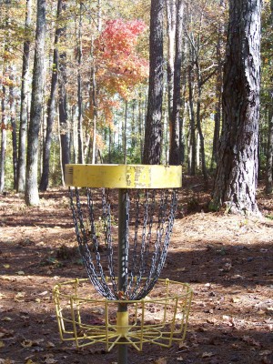 Deer Lick Park, Main course, Hole 14 Reverse (back up the fairway)