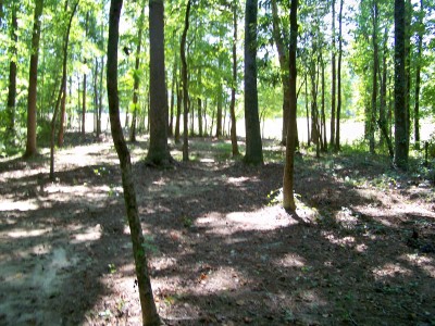 Deer Lick Park, Main course, Hole 5 Midrange approach