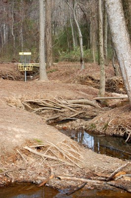 Deer Lick Park, Main course, Hole 4 Short approach