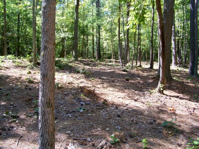 Deer Lick Park, Main course, Hole 14 Midrange approach