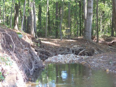 Deer Lick Park, Main course, Hole 4 Short approach