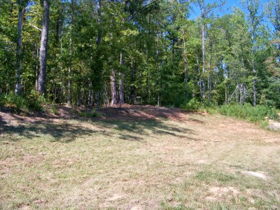 Deer Lick Park, Main course, Hole 13 Midrange approach