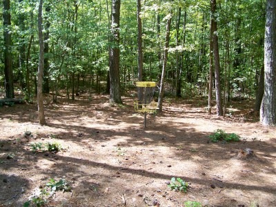 Deer Lick Park, Main course, Hole 14 Putt