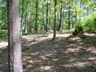 Deer Lick Park, Main course, Hole 17 Midrange approach