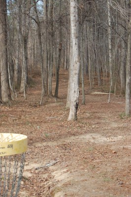 Deer Lick Park, Main course, Hole 5 Reverse (back up the fairway)